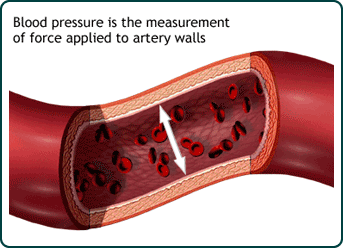 blood vessel animation, text reading "Blood pressure is the measurement of force applied to artery walls"