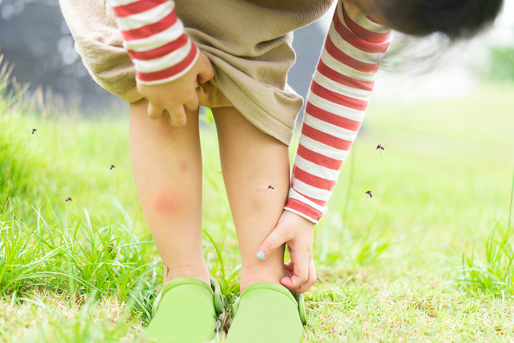 A young girl leans down and scratches insect bites on her calves.
